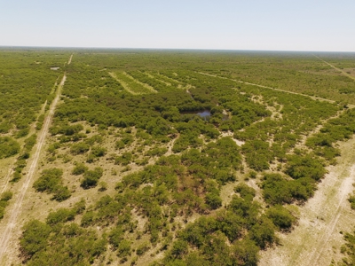 +/- 873 Acres near Kingsville, TX that borders The King Ranch - image 12