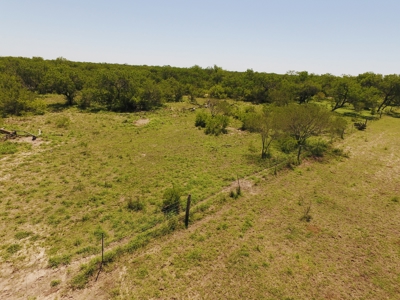 +/- 873 Acres near Kingsville, TX that borders The King Ranch - image 10