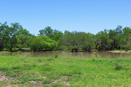 +/- 873 Acres near Kingsville, TX that borders The King Ranch - image 23