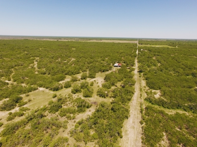 +/- 873 Acres near Kingsville, TX that borders The King Ranch - image 6