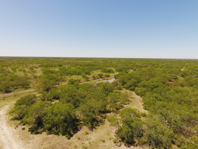 +/- 873 Acres near Kingsville, TX that borders The King Ranch - image 5