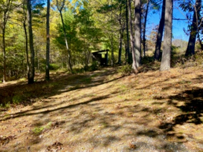 Land for Sale in Indian Valley VA - image 3