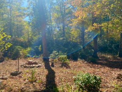 Land for Sale in Indian Valley VA - image 2