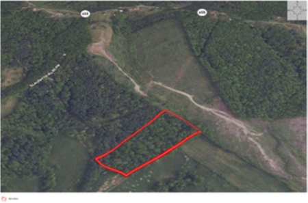 Land for Sale in Indian Valley VA - image 8