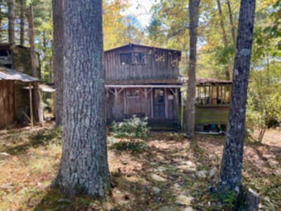 Land for Sale in Indian Valley VA - image 4