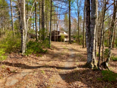 Land for Sale in Indian Valley VA - image 1