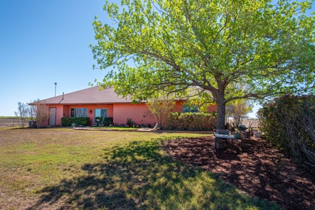 Country Home With Acreage In Floresville, Poth ISD - image 2