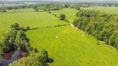 112 Acres For Sale in Koshkonong, MO - image 3