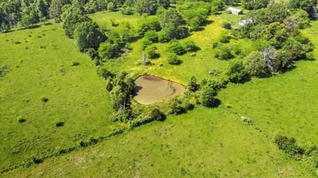 112 Acres For Sale in Koshkonong, MO - image 5