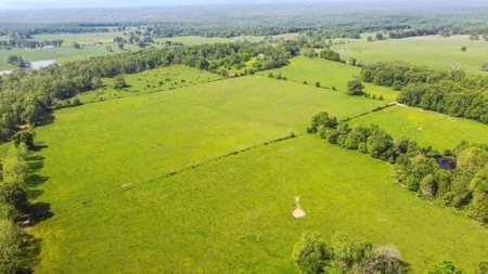 112 Acres For Sale in Koshkonong, MO - image 1