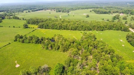 112 Acres For Sale in Koshkonong, MO - image 4