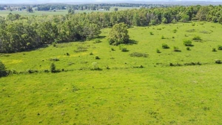 112 Acres For Sale in Koshkonong, MO - image 7