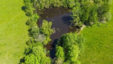 112 Acres For Sale in Koshkonong, MO - image 6