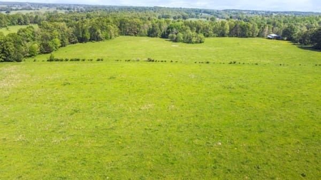 112 Acres For Sale in Koshkonong, MO - image 2