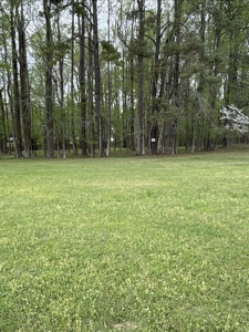 0.93-AC Homesite in Washington, NC - Tree Shade Community - image 5