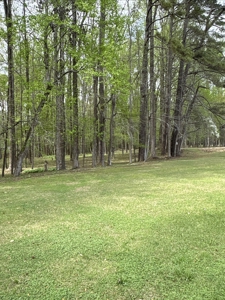 0.93-AC Homesite in Washington, NC - Tree Shade Community - image 4