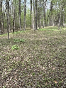 0.93-AC Homesite in Washington, NC - Tree Shade Community - image 3