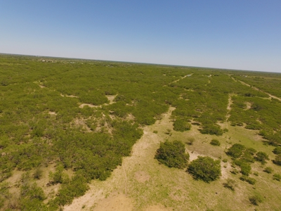 +/- 34 Acres just south of Kingsville, Tx near the King Ranch - image 2