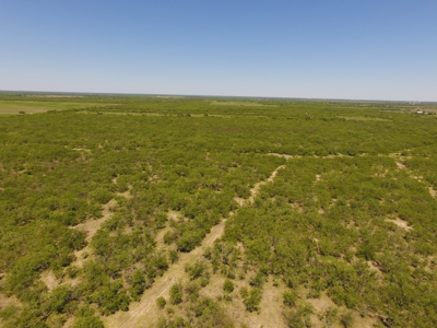 +/- 34 Acres just south of Kingsville, Tx near the King Ranch - image 3