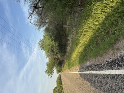 +/- 34 Acres just south of Kingsville, Tx near the King Ranch - image 1