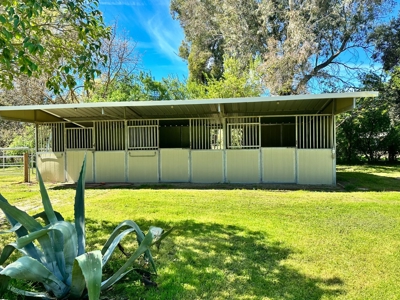 Binnings Tract, Davis Country Homes on 1 Acre nearby UC Davis - image 9