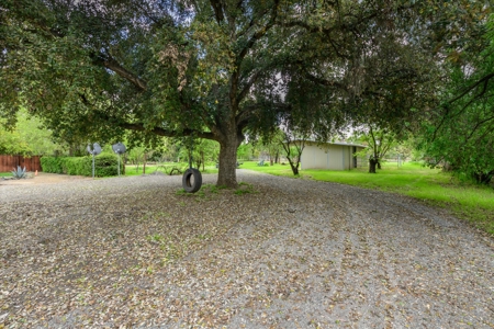 Binnings Tract, Davis Country Homes on 1 Acre nearby UC Davis - image 45
