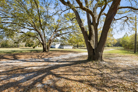 Two Manufactured Homes On 5 Acres For Sale In North Central Florida - image 9