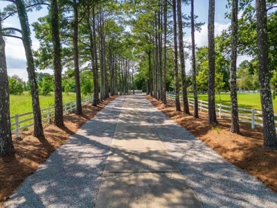 Stately Estate with Guest House on 9 Acres Starkville MS - image 4