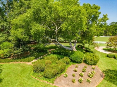 Stately Estate with Guest House on 9 Acres Starkville MS - image 45