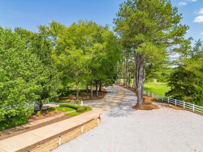 Stately Estate with Guest House on 9 Acres Starkville MS - image 46