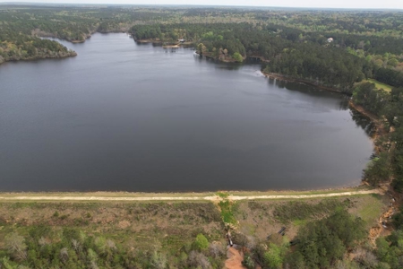 Outdoorsman's Paradise Lakefront Property For Sale Pearl River County Mississippi - image 23
