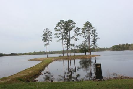 Outdoorsman's Paradise Lakefront Property For Sale Pearl River County Mississippi - image 14