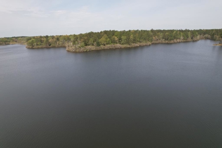 Outdoorsman's Paradise Lakefront Property For Sale Pearl River County Mississippi - image 24