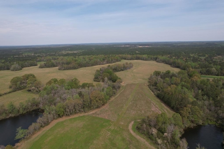 Outdoorsman's Paradise Lakefront Property For Sale Pearl River County Mississippi - image 25