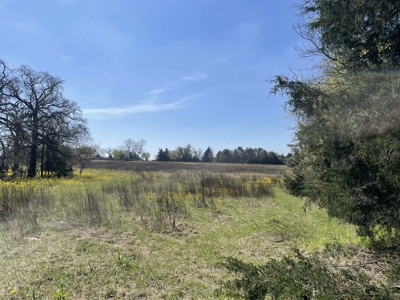 Grapeland Texas Home with Acreage for Sale in Houston County Farm & Hunt - image 13
