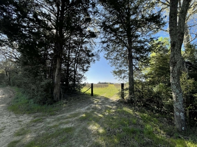 Grapeland Texas Home with Acreage for Sale in Houston County Farm & Hunt - image 16