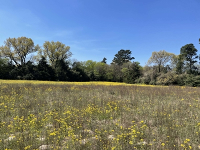 Grapeland Texas Home with Acreage for Sale in Houston County Farm & Hunt - image 19