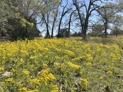 Grapeland Texas Home with Acreage for Sale in Houston County Farm & Hunt - image 11