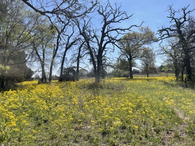 Grapeland Texas Home with Acreage for Sale in Houston County Farm & Hunt - image 10