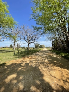 Grapeland Texas Home with Acreage for Sale in Houston County Farm & Hunt - image 5