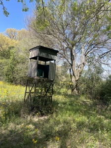 Grapeland Texas Home with Acreage for Sale in Houston County Farm & Hunt - image 9