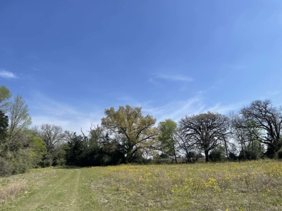 Grapeland Texas Home with Acreage for Sale in Houston County Farm & Hunt - image 7