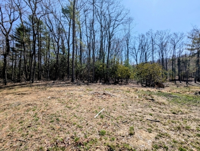 Country Home for Sale in Pilot VA - image 24