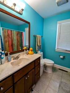 Country Home for Sale in Pilot VA - image 32
