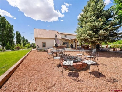 Western Colorado Orchard Farm For Sale - image 17