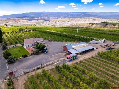 Western Colorado Orchard Farm For Sale - image 22
