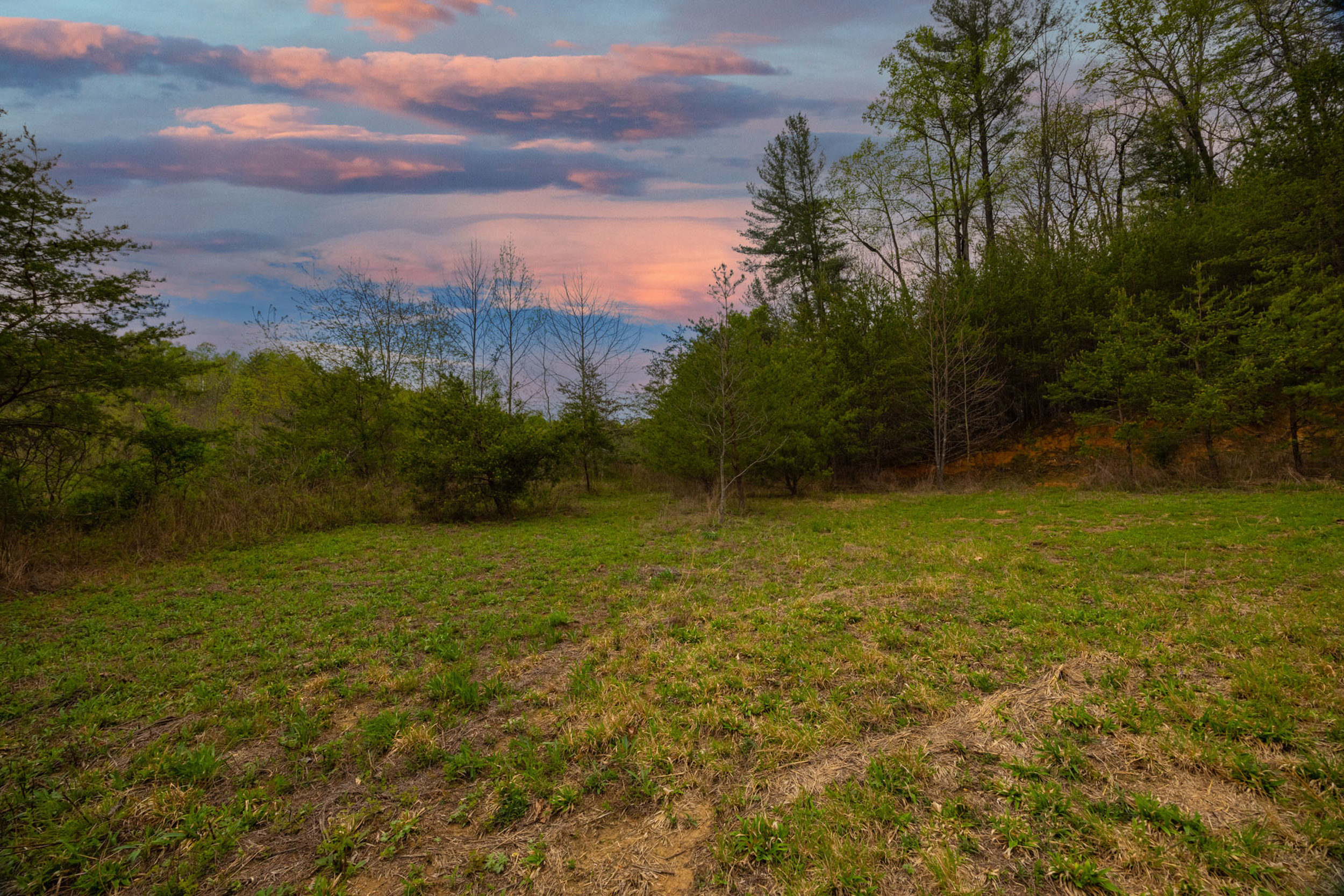Hilltop view