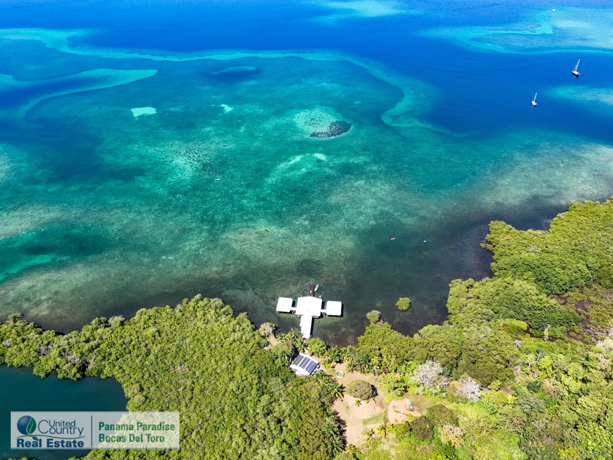 Overwater B&B & Restaurant — Isla Solarte, Bocas del Toro - 9