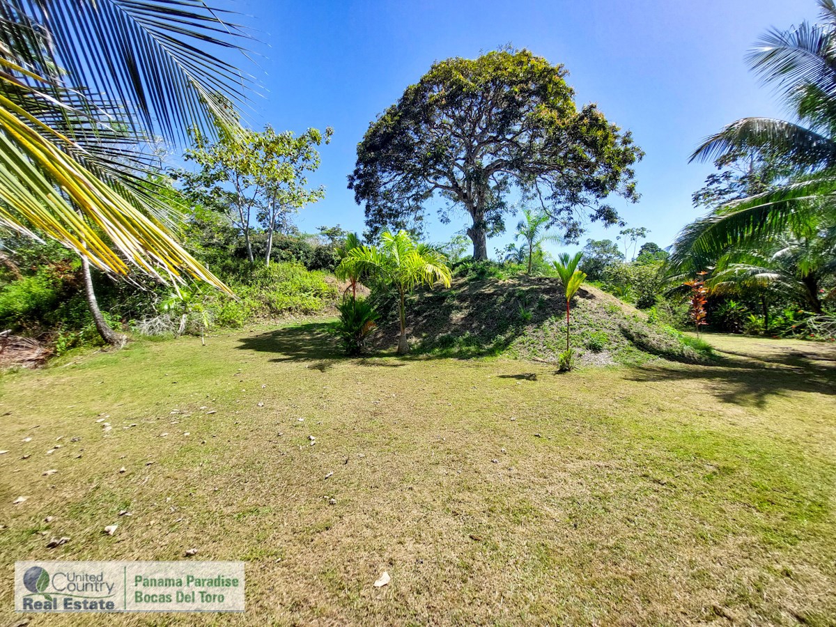 Overwater B&B & Restaurant — Isla Solarte, Bocas del Toro - 32