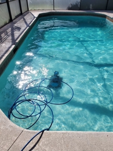 All brick 4 bed/2.5 bath home w/pool in desired neighborhood - image 1